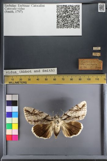 Media type: image;   Entomology 640160